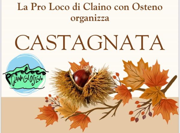 Immagine anteprima