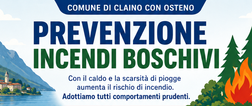 Immagine anteprima
